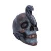 Serpentine Fate 19cm Skulls Gifts Under £100