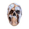 Time Goes By 17.5cm Skulls Gifts Under £100