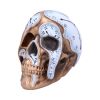 Time Goes By 17.5cm Skulls Gifts Under £100