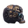 Destiny 18cm Skulls Gifts Under £100