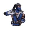 Mortal Kombat Sub-Zero Bust 29cm - 4