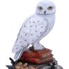 Harry Potter Hedwig Figurine 22cm Fantasy Top 200