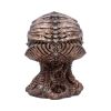 Cthulhu Skull Bronze (JR) 20cm Horror Sale Items