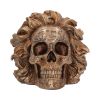 The Theory of Relativity 21cm Skulls September Flash Sale 2024 | Gothic