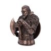 Assassin's Creed Valhalla Eivor Bust (Bronze) 31cm Gaming September Flash Sale 2024 | Licensed