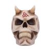 666 Skull (JR) 20cm Skulls Christmas Gift Guide Figurines