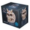 666 Skull (JR) 20cm Skulls Christmas Gift Guide Figurines