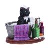 Bath Time (LP) 13.5cm Cats Gifts Under £100