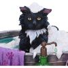 Bath Time (LP) 13.5cm Cats Gifts Under £100