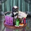 Bath Time (LP) 13.5cm Cats Gifts Under £100