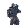 Batman & Catwoman Bust 30cm Comic Characters Super Dads