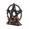 Floral Pentagram 16.5cm Witchcraft & Wiccan Season of the Pentagram