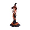 Cinnamon 23.5cm Witches Halloween Highlights Figurines