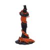 Cinnamon 23.5cm Witches Halloween Highlights Figurines