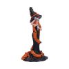 Cinnamon 23.5cm Witches Halloween Highlights Figurines