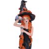 Cinnamon 23.5cm Witches Halloween Highlights Figurines