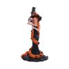 Cinnamon 23.5cm Witches Halloween Highlights Figurines