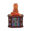 Mad About Cats Box (LP) 16.5cm Cats Gifts Under £100