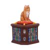 Mad About Cats Box (LP) 16.5cm Cats Gifts Under £100