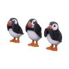 Three Wise Puffins 9cm Animals New Arrivals