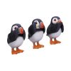 Three Wise Puffins 9cm Animals New Arrivals