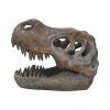 Tyrannosaurus Rex Skull Freestanding 16cm Dinosaurs Top 200 None Licensed