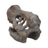 Tyrannosaurus Rex Skull Freestanding 16cm Dinosaurs Top 200 None Licensed