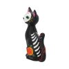 Sugar Kitty 26cm Cats Gifts Under £100