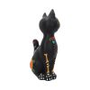 Sugar Kitty 26cm Cats Gifts Under £100