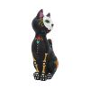 Sugar Kitty 26cm Cats Gifts Under £100