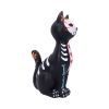 Sugar Puss 26cm Cats Gifts Under £100