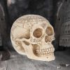 Astrological Skull 20cm Skulls Gifts Under £100