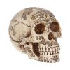 Spirits 20cm Skulls Gifts Under £100