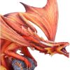 Adult Fire Dragon (AS) 24.5cm Dragons Dragon Figurines