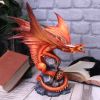 Adult Fire Dragon (AS) 24.5cm Dragons Dragon Figurines