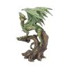 Adult Forest Dragon (AS) 25.5cm Dragons Out Of Stock