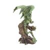 Adult Forest Dragon (AS) 25.5cm Dragons Out Of Stock