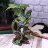 Adult Forest Dragon (AS) 25.5cm Dragons Out Of Stock