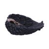 Edgar's Raven Trinket Holder 17cm Ravens Out Of Stock