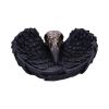 Edgar's Raven Trinket Holder 17cm Ravens Out Of Stock