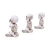 Three Wise Skellywags 13cm (Set of 3) Skeletons Sale Items