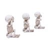 Three Wise Skellywags 13cm (Set of 3) Skeletons Sale Items