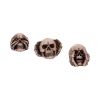 Three Wise Skulls 7.6cm Skulls Summer Sale 2024