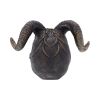 Diabolus 18cm Skulls Gifts Under £100