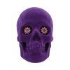 Jewelled Gaze 18.7cm Skulls Sale Items