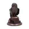 An Owl's Tale 14.5cm Owls New Arrivals