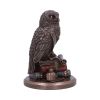 An Owl's Tale 14.5cm Owls New Arrivals