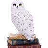 Library of Wisdom 17cm Owls New Arrivals