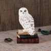 Library of Wisdom 17cm Owls New Arrivals