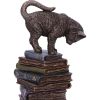 Feline Scholars 18cm Cats New Arrivals